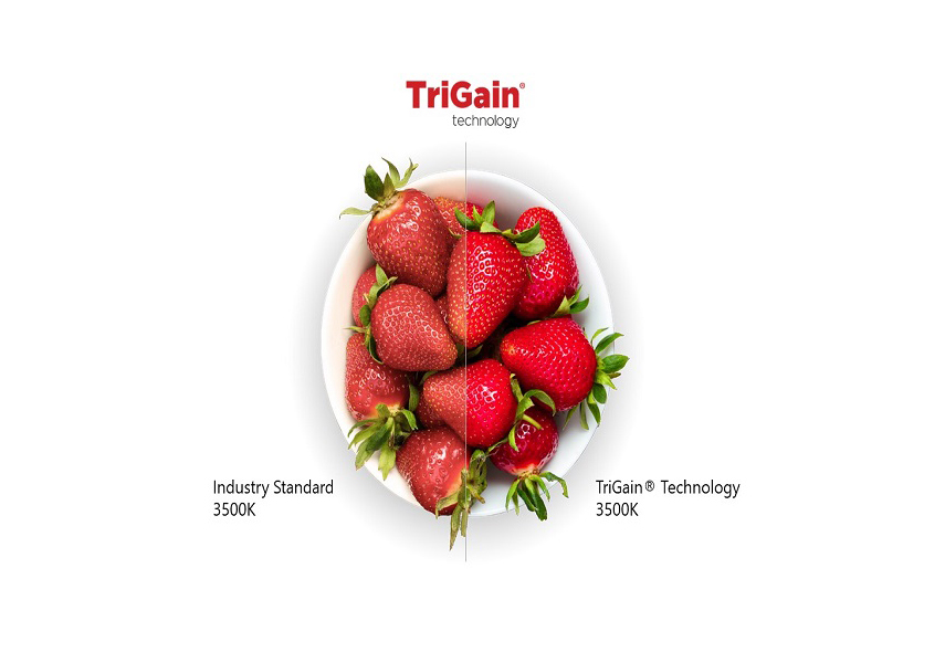 TriGain Technology